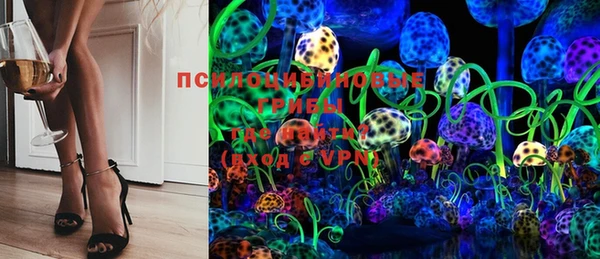 ГАЛЛЮЦИНОГЕННЫЕ ГРИБЫ Богородск