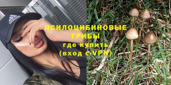 ГАЛЛЮЦИНОГЕННЫЕ ГРИБЫ Богородск