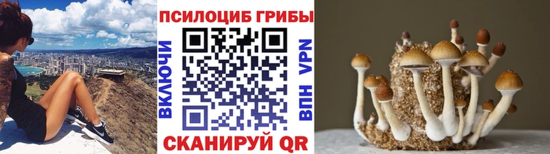 Псилоцибиновые грибы Magic Shrooms  Волжский 